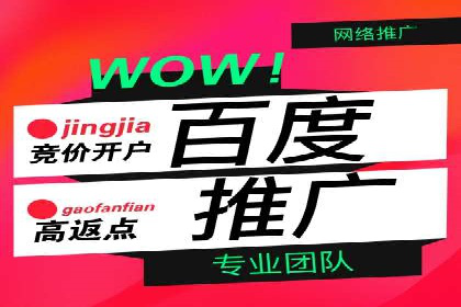 SEM托管服务案例：揭秘高效广告投放